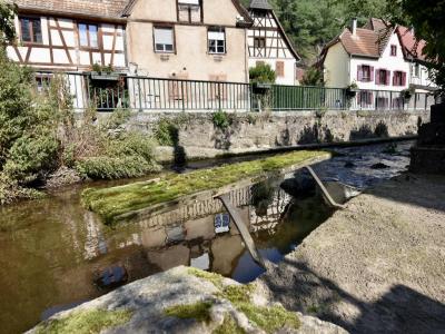 For sale Strasbourg 10 rooms 500 m2 Bas rhin (67000) photo 2