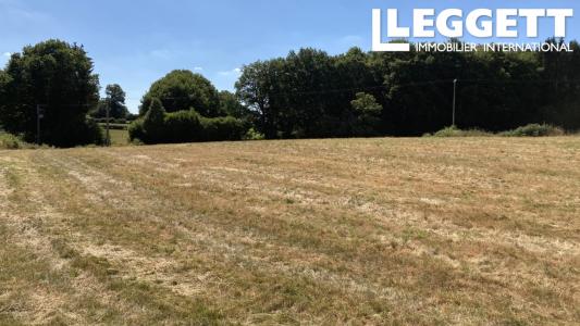 Acheter Terrain 6014 m2 Saint-sulpice-les-champs