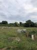 For sale Land Bourg-saint-andeol  3011 m2