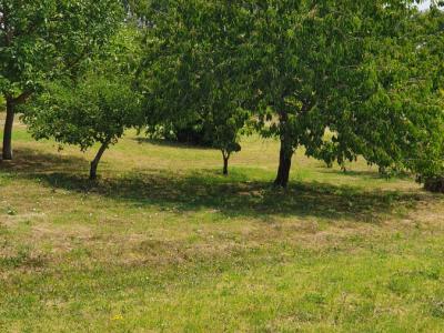 Acheter Terrain Escalquens