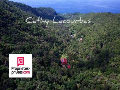 For sale Bouillante 8 rooms 194 m2 Guadeloupe (97125) photo 0