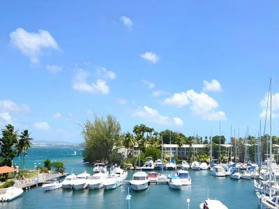 For sale Trois-ilets 3 rooms 40 m2 Martinique (97229) photo 0