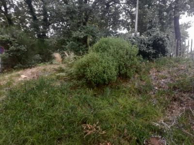 For sale Gujan-mestras 795 m2 Gironde (33470) photo 0