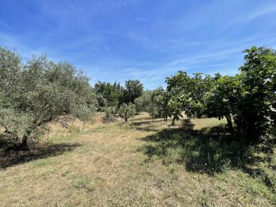 Acheter Terrain Alleins Bouches du Rhone