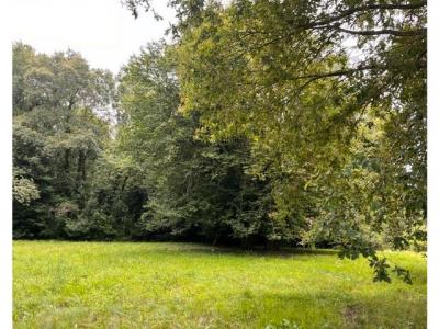 For sale Latresne 2500 m2 Gironde (33360) photo 1