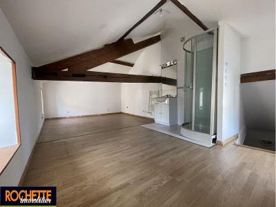 Acheter Immeuble Neronde 95500 euros