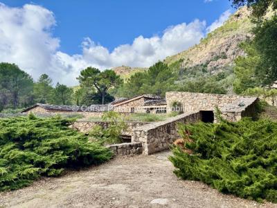 For sale Sari-solenzara 450 m2 Corse (20145) photo 4