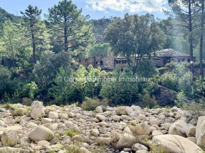 For sale Sari-solenzara 450 m2 Corse (20145) photo 1