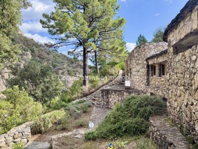 For sale Sari-solenzara 450 m2 Corse (20145) photo 3