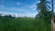 For sale Land Goyave  2196 m2