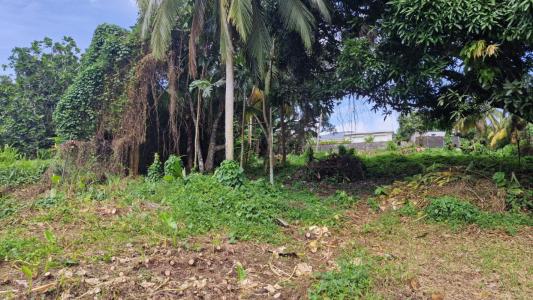 For sale Lamentin 800 m2 Guadeloupe (97129) photo 0