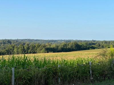 For sale Payzac 1 room Dordogne (24270) photo 2