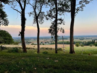 Acheter Maison Lamothe-landerron Gironde