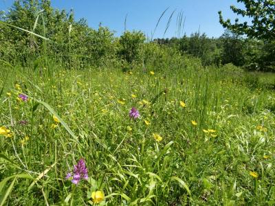 For sale Puylaroque 2170 m2 Tarn et garonne (82240) photo 0