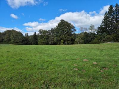 For sale Clergoux 2800 m2 Correze (19320) photo 0