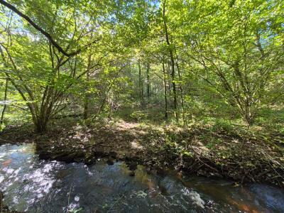 Acheter Terrain Clergoux Correze