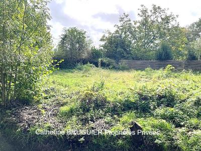 For sale Saint-sauveur-d'aunis 377 m2 Charente maritime (17540) photo 1