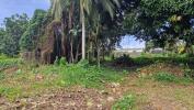 For sale Land Lamentin  800 m2