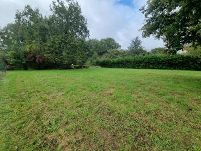 For sale Bordes 7333 m2 Loiret (45460) photo 1