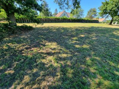 For sale Bordes 7333 m2 Loiret (45460) photo 2