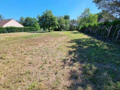 For sale Bordes 7333 m2 Loiret (45460) photo 3