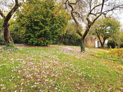 Acheter Maison Poitiers 480000 euros