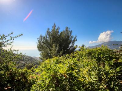 Acheter Terrain Menton Alpes Maritimes