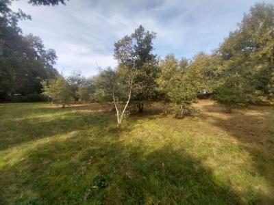 Annonce Vente Terrain Saugnacq-et-muret 40