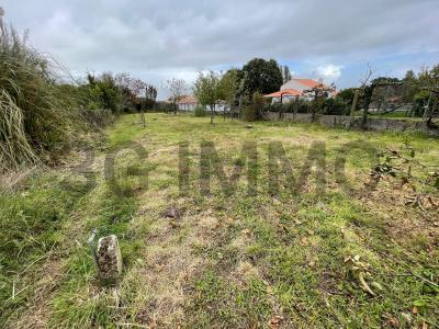 Annonce Vente 7 pices Maison Olonne-sur-mer 85