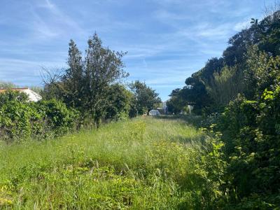 For sale Noirmoutier-en-l'ile 835 m2 Vendee (85330) photo 3