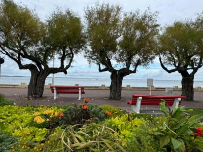 For sale Arcachon 2 rooms 39 m2 Gironde (33120) photo 4