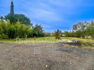 For sale Portet-sur-garonne 700 m2 Haute garonne (31120) photo 3