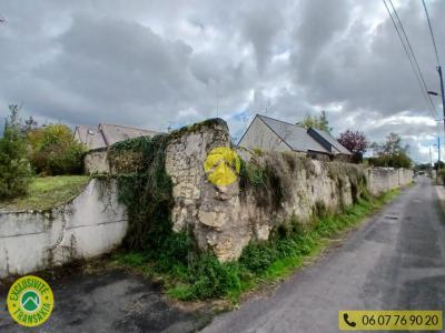 Annonce Vente Terrain Beaulieu-les-loches 37