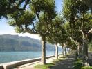 For rent Apartment Aix-les-bains  56 m2 2 pieces