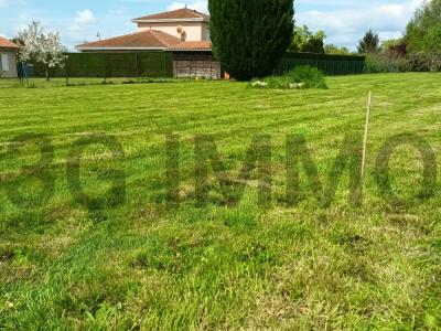 For sale Chatillon-la-palud Ain (01320) photo 0