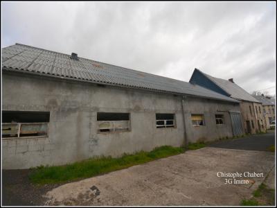 Acheter Domaine agricole Chambon-sur-lac