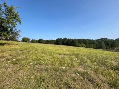 For sale Trelissac 6133 m2 Dordogne (24750) photo 3