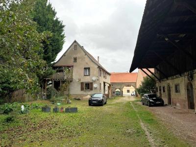 For sale Logelheim Haut rhin (68280) photo 0