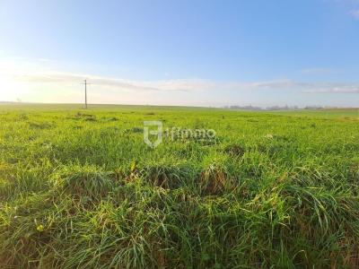 For sale Anneux BOURSIES 474 m2 Nord (59400) photo 0