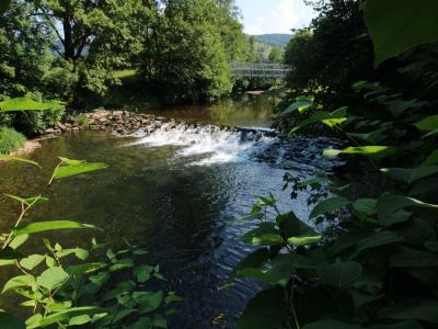 Acheter Maison Ramonchamp Vosges