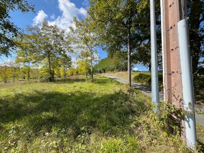 Acheter Terrain 29866 m2 Saint-hilaire-de-lusignan