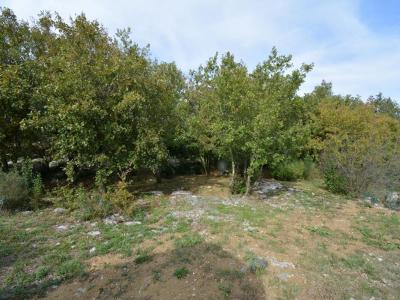 For sale Chauzon 1794 m2 Ardeche (07120) photo 0