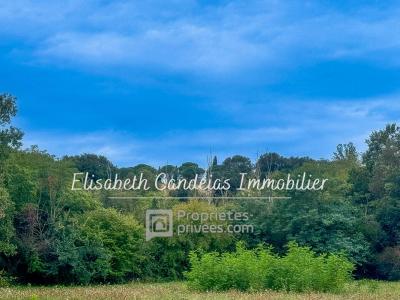 For sale Saint-sulpice-sur-leze 1511 m2 Haute garonne (31410) photo 0