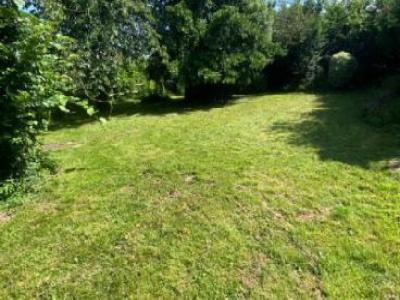 Annonce Vente 4 pices Maison Gif-sur-yvette 91