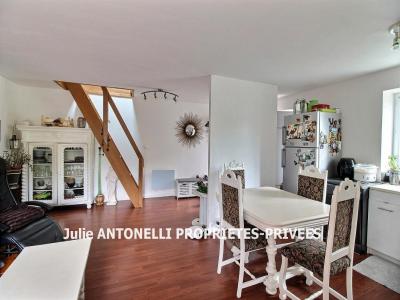 Annonce Vente 3 pices Appartement Aurec-sur-loire 43