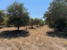 For sale Land Grignan  755 m2