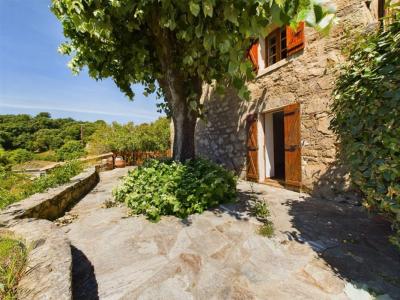 For sale Tavaco 4 rooms 87 m2 Corse (20167) photo 2