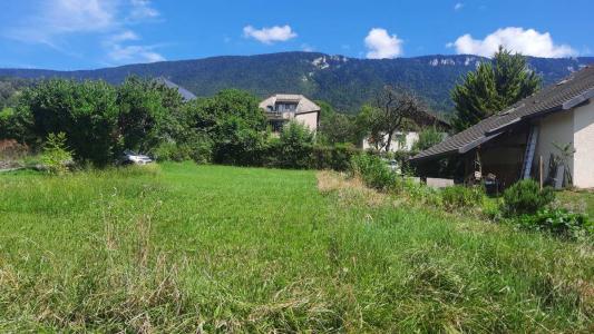 Annonce Vente Terrain Viuz-la-chiesaz 74