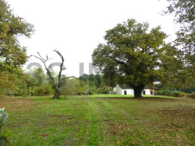 For sale Estigarde 6 rooms 196 m2 Landes (40240) photo 0