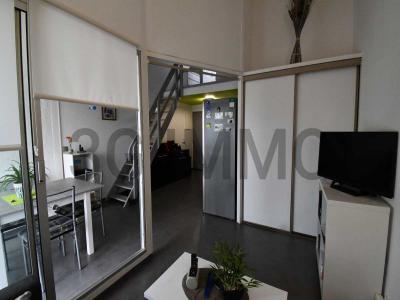 Annonce Vente Appartement Saint-cyprien 66